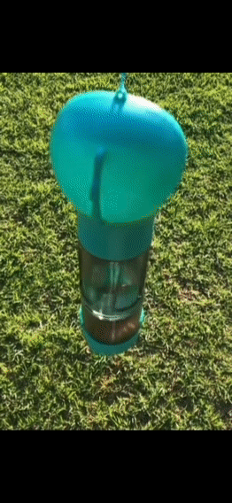 4 in 1 Portable Water Bottle For Dogs