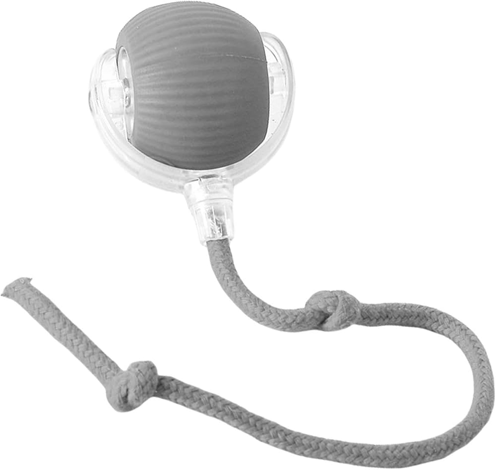 Smart Interactive Rolling Ball