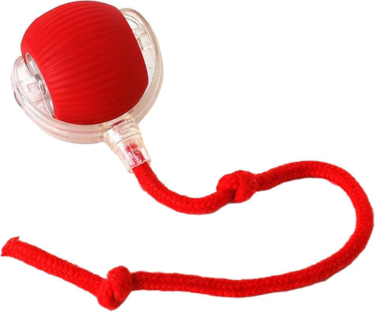 Smart Interactive Rolling Ball
