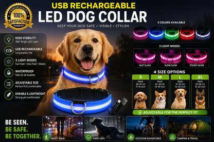Night Safety LED Dog Collar
