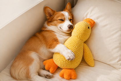 Orlivo™ Calming Duck Toy