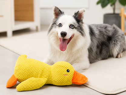 Orlivo™ Calming Duck Toy