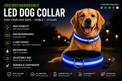 LED Dog Collar