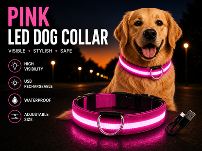 LED Dog Collar