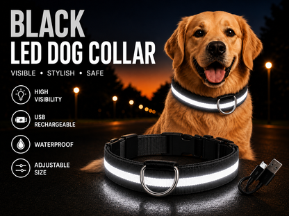 LED Dog Collar