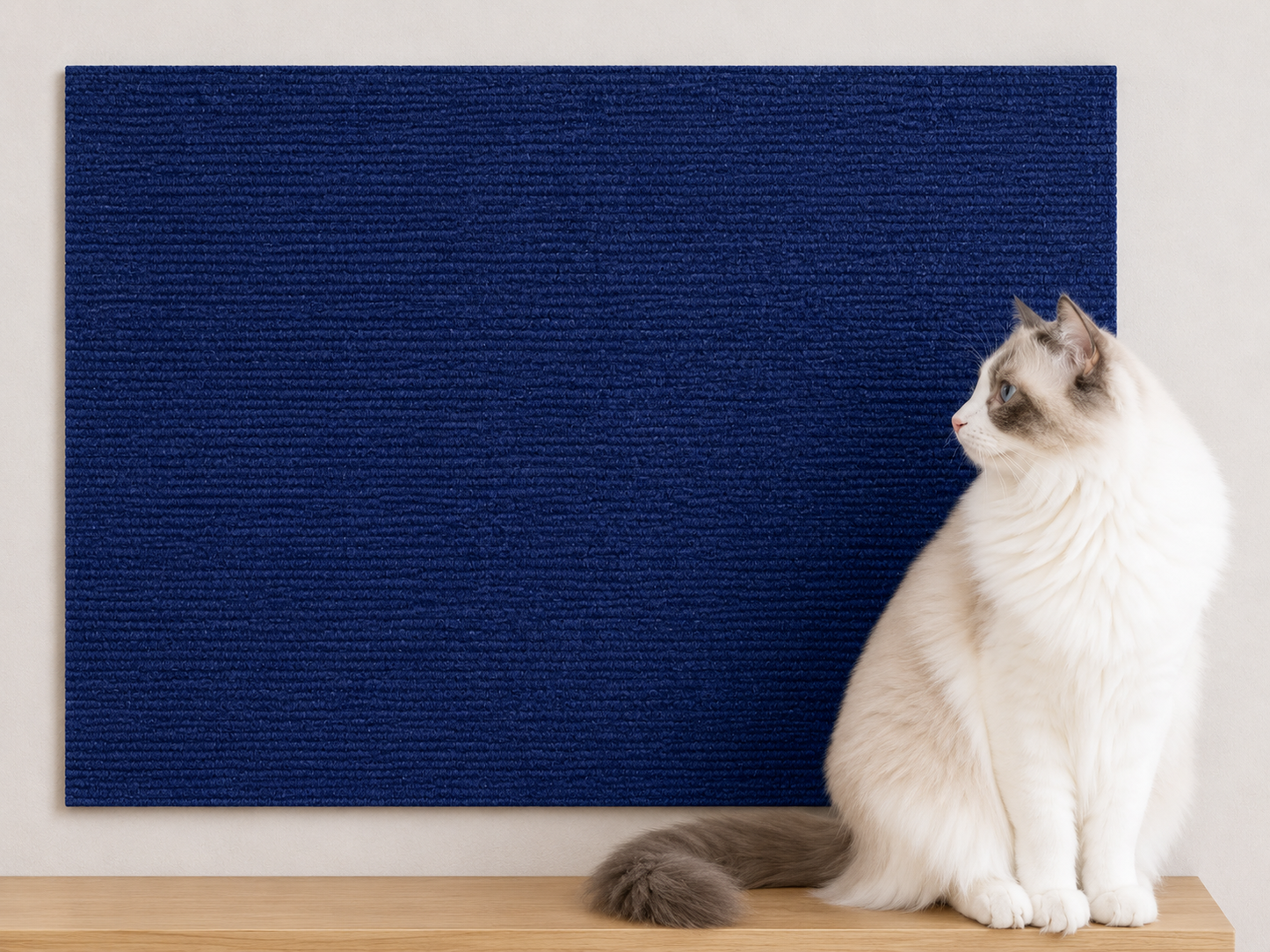 Protect Your Furniture. Keep Your Cat Happy