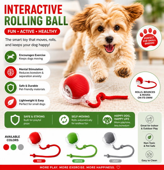 Smart Interactive Rolling Ball