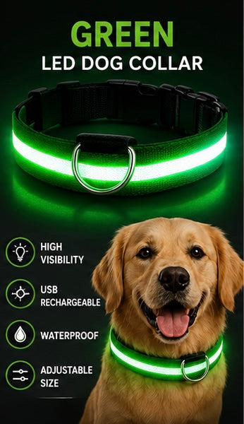 LED Dog Collar