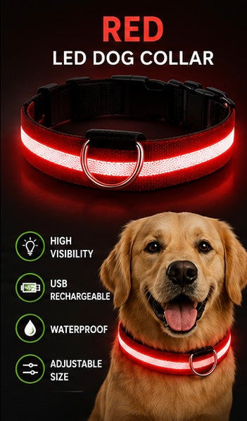 Night Safety LED Dog Collar