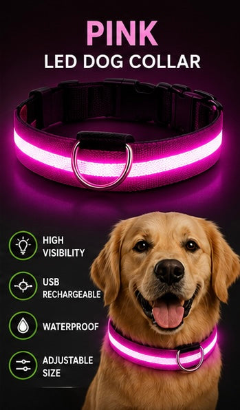 Night Safety LED Dog Collar