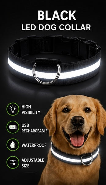 Night Safety LED Dog Collar