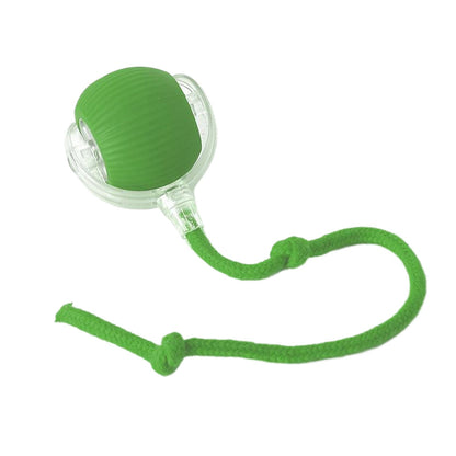 Smart Interactive Rolling Ball